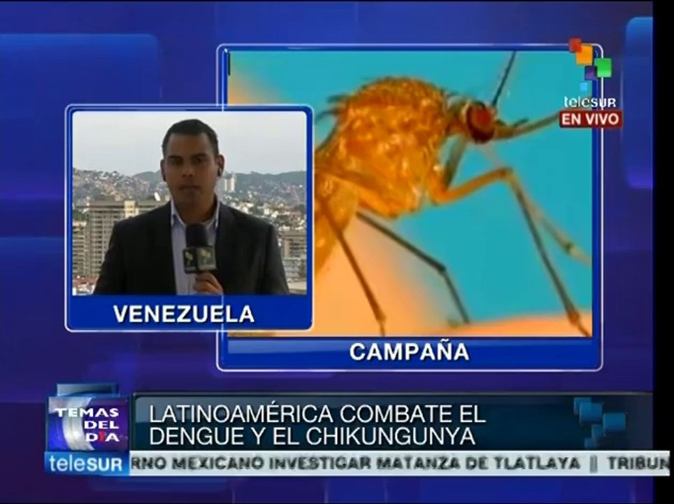 Gobierno de Venezuela activa campaña contra dengue y chikungunya