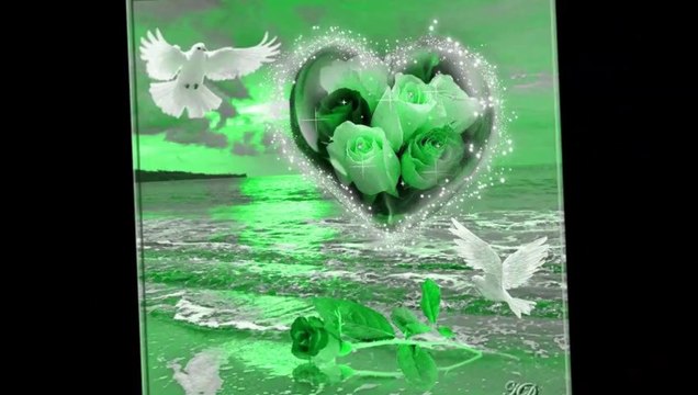 seni sevıyorum bitanecik aşkım..... aşkım sen benım herseyımsın