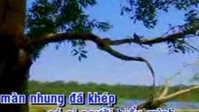 Tieng long ni non  - Ha vy