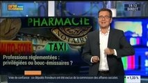 Les professions réglementées sont-elles des privilégiées ou des bouc-émissaires ?, dans les Décodeurs de l'éco - 30/09 1/4