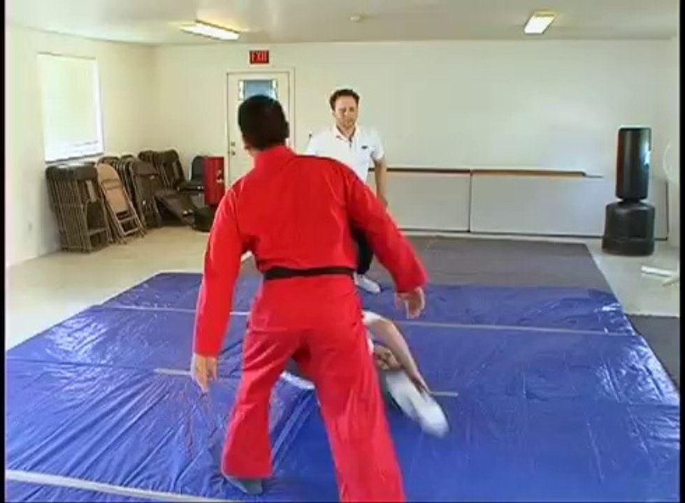 How To Do Martial Arts - Throws 1