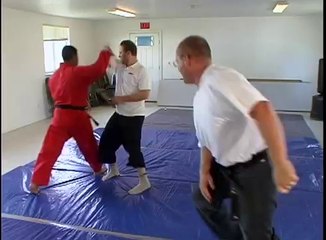 How To Do Martial Arts - Throws 2