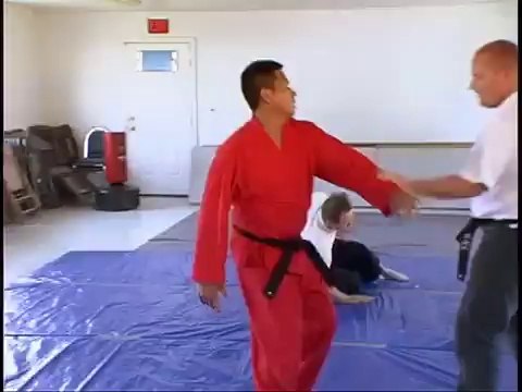How To Do Martial Arts - Throws 6
