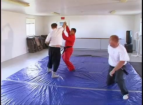 How To Do Martial Arts - Throws 9