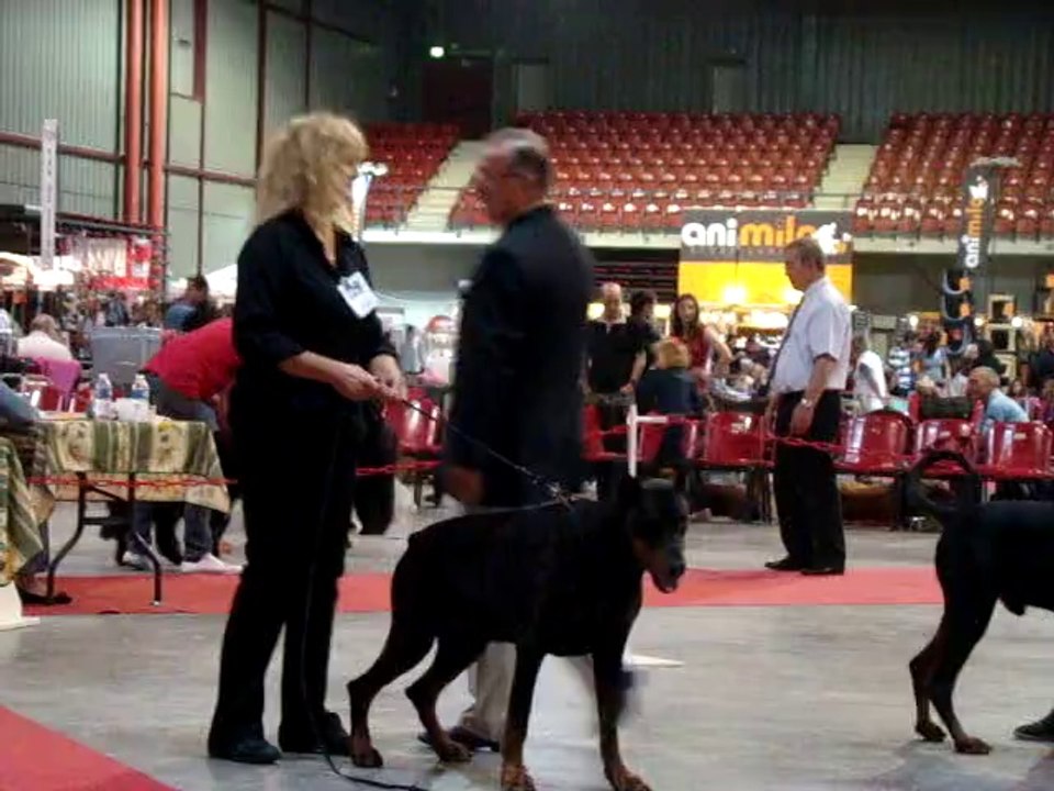 CAC MARTIGUES 2014 , Ch.B'athos De Fassano