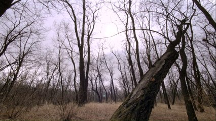 【mv.6park.com】少女灵异日记.HD1280超清国语中字_2