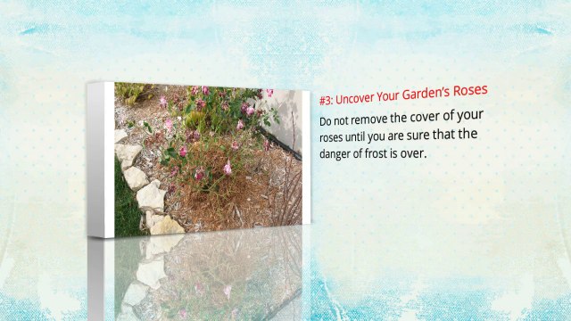 4 Yard Cleaning and Maintenance Tips for Spring