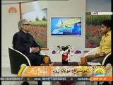 Morning Show | Subho Zindagi | صبح و زندگی |مولانا روم | Sahartv Urdu