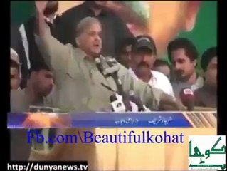 CM Punjab: Leadership and Initiatives