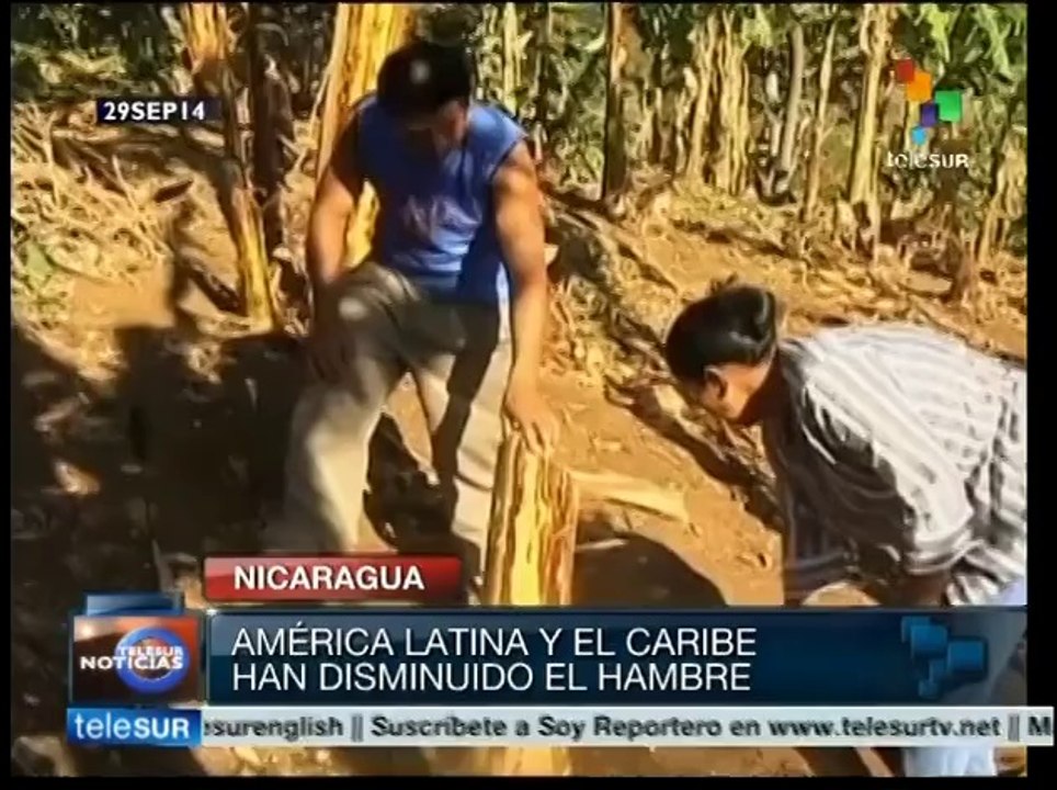 FAO reconoce logros de Nicaragua en seguridad alimentaria