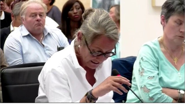 Conseil municipal 25 septembre 2014 - Protection fonctionnelle pour deux élus