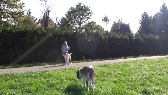 du coté de Grenoble Méaudre massif du vercors