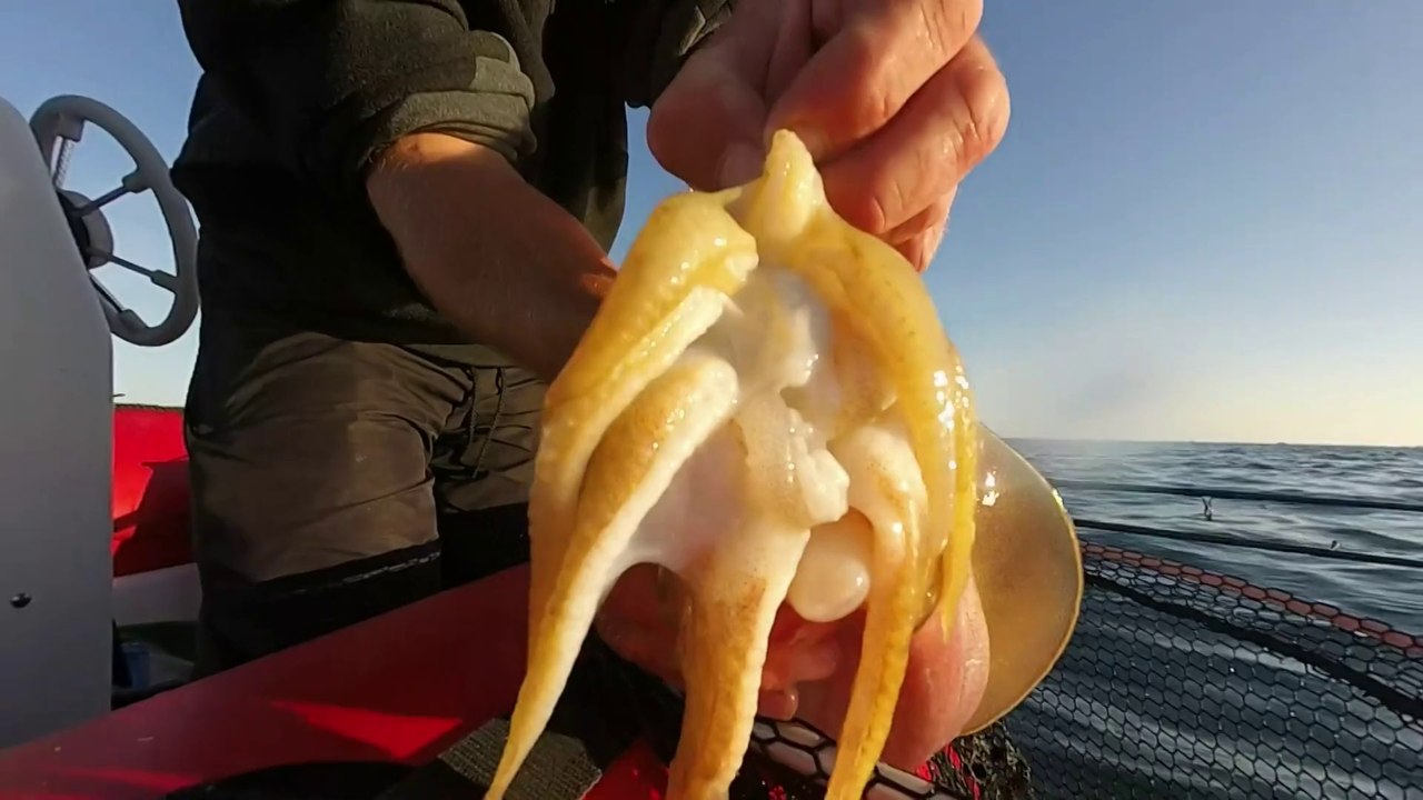 Peche en mer en Bretagne