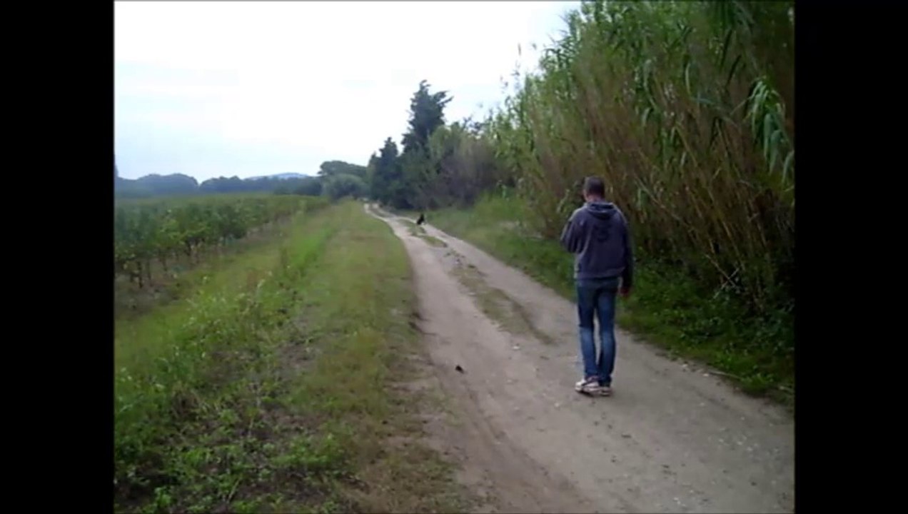 Stop à distance