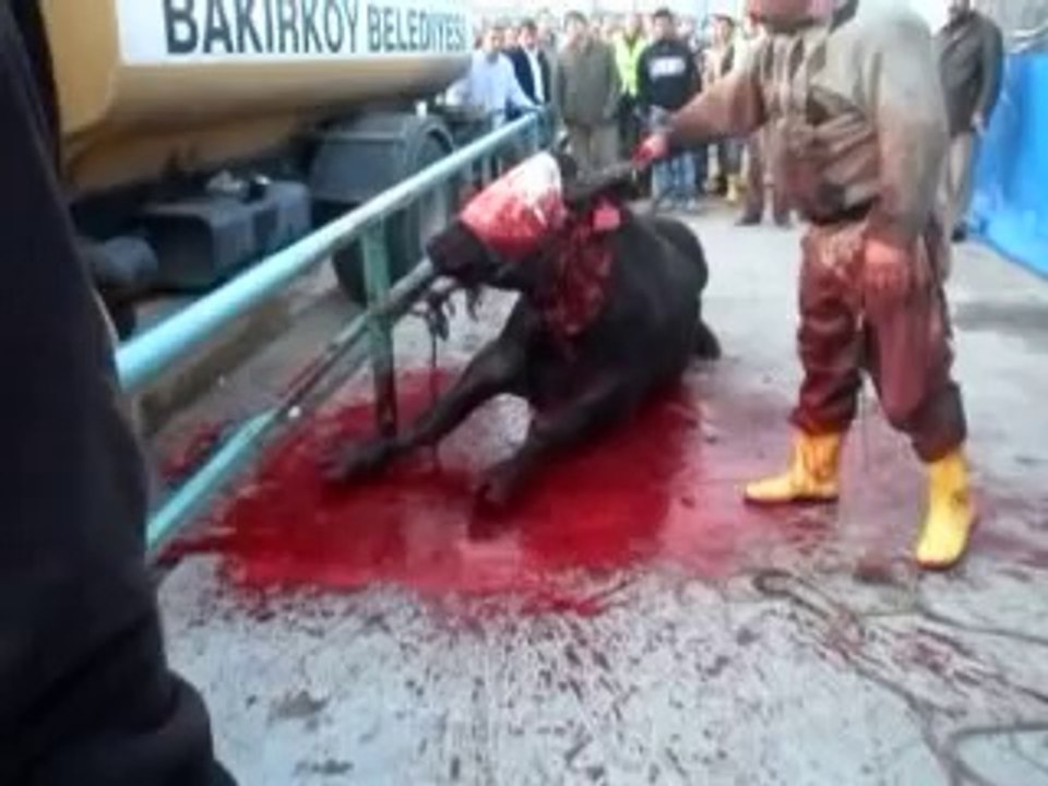 AYAKTA KURBAN KESME VAHŞETİ!