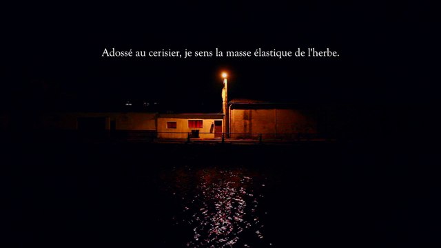 Adossé au cerisier / LES PARTICULES ÉLÉMENTAIRES / Michel Houellebecq - Julien Gosselin / Odéon-Berthier