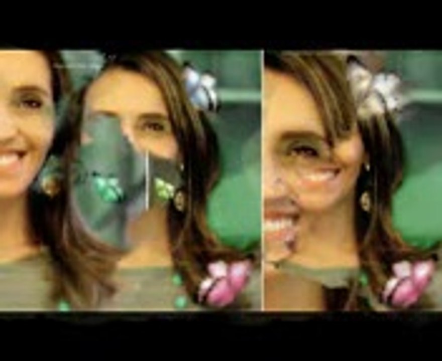 Download Ebook The Stone Diaries Carol Diggory Shields PDF Audiobook