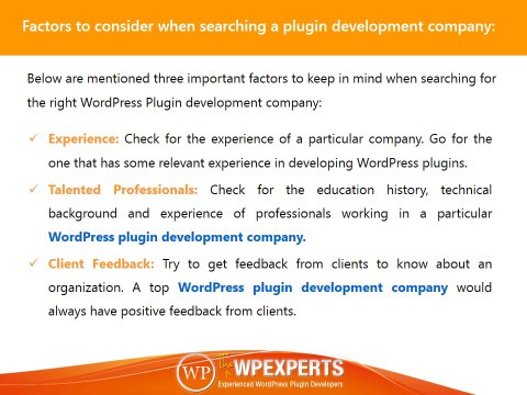 Ultimate WordPress plugin development services