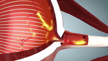 ألم نجعل له عينين #ومحياي