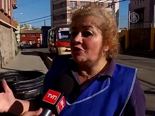 Лиса переполошила квартал в чилийском городе