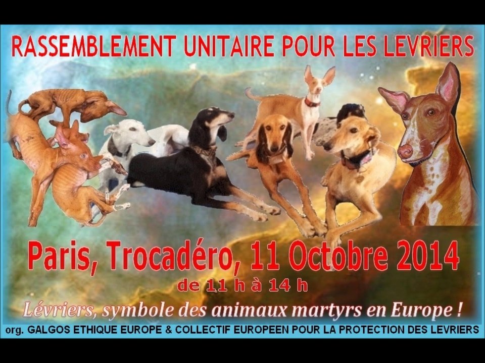 poeme-pour-un-galgo-rassemblement-trocadero-octobre-2014