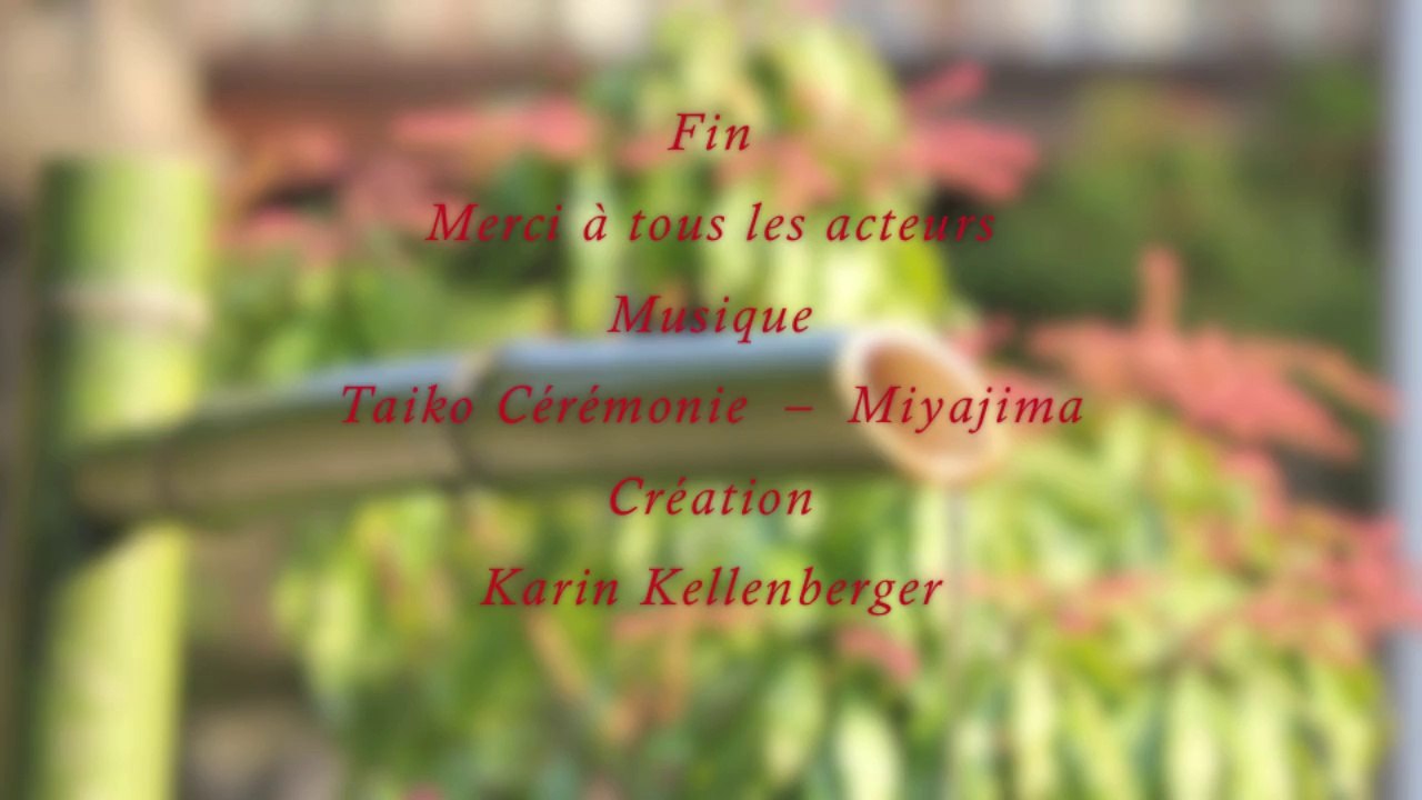 The Aikido Notebooks with Michel Erb Sensei Part 6 Tai Sabakis