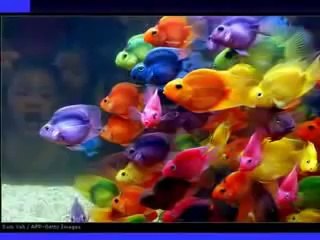 Beautiful nature pics, music amazing