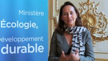 Interview Ségolène Royal sur le projet de loi transition énergétique