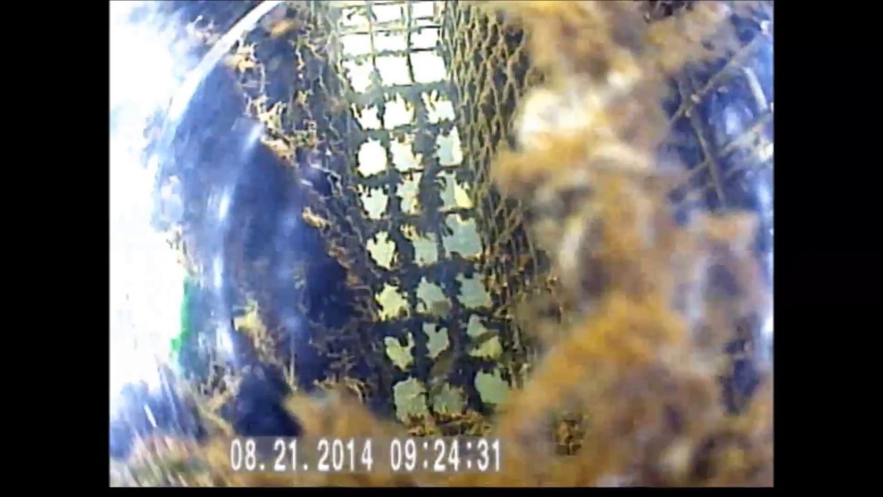 Biohut in Baltimore's Inner Harbor