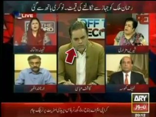 Tehmina Daultana Of PMLN Proving No Fault of System With An Example Of Herself and Nawaz Sharif