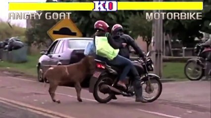 Street Fighter II - Angry Goat Edition