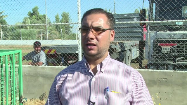 Gaza sends lions to Jordan after war damages zoo