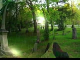 Parapsychology: Old Chestnut Grove Cemetery (EVPs)