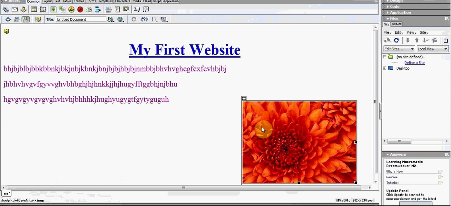 Dreamweaver-3