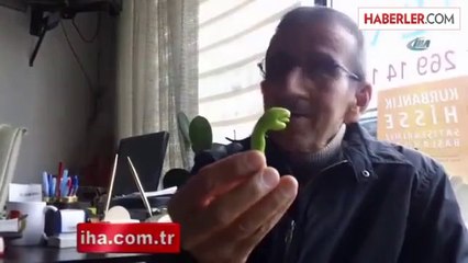 Yılan Şeklinde Biber Görenleri Hayrete Düşürüyor
