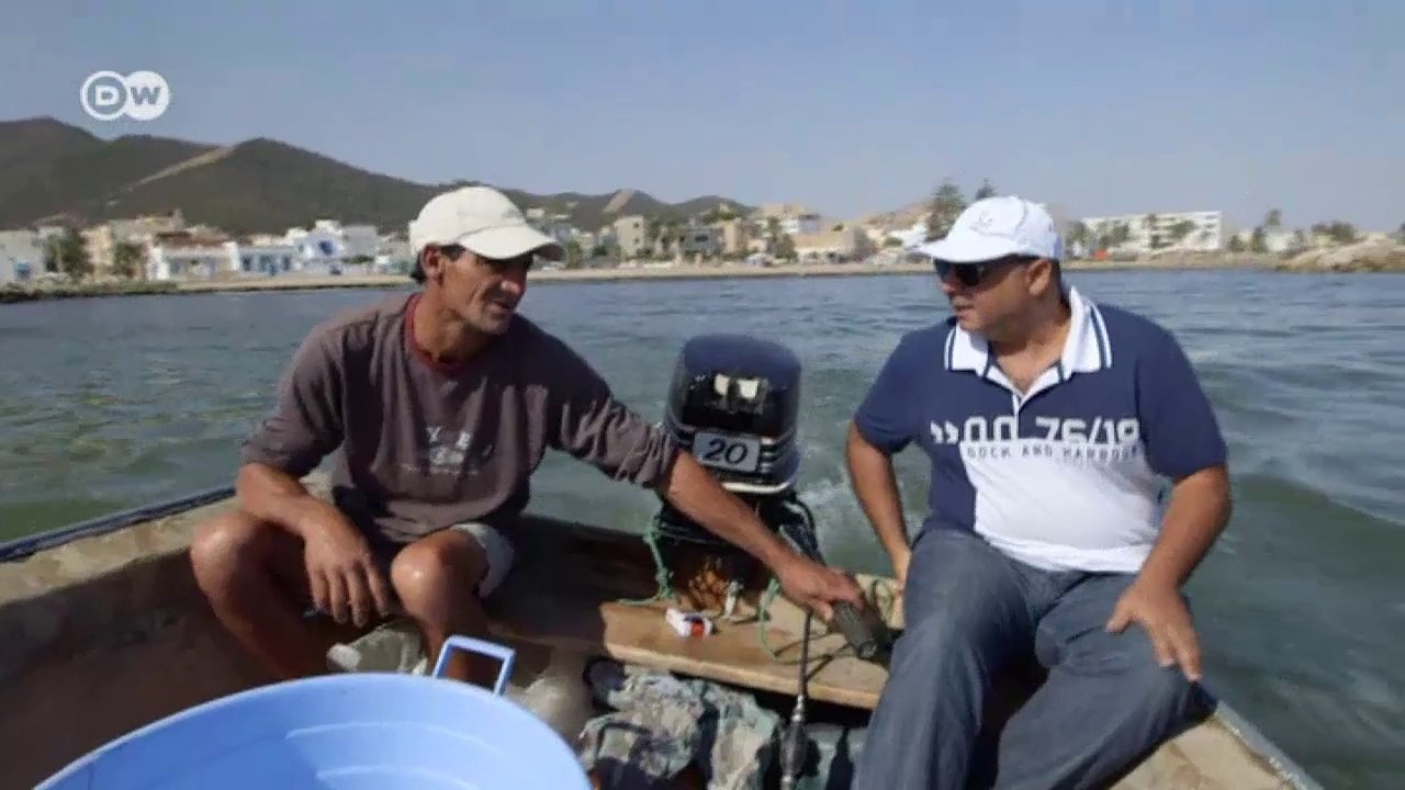 Der Kampf gegen die Quallen | Global Ideas