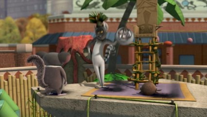 Les Pingouins de Madagascar - Maurice