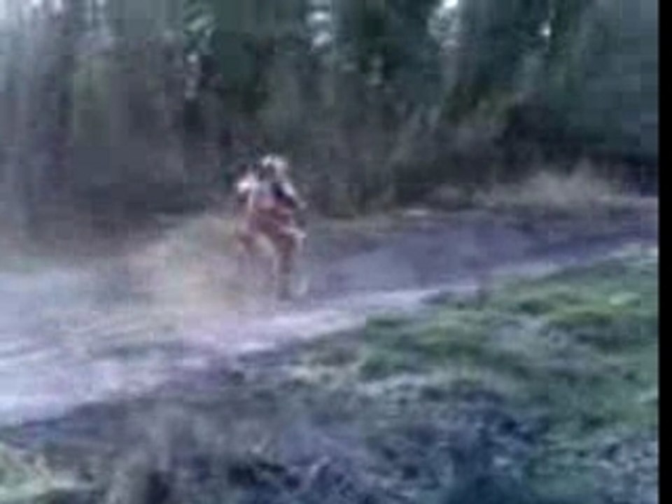 Arbonne ktm 85 sx