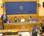 Roma - Conferenza stampa di Edoardo Fanucci (30.09.14)