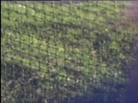 [ Desport ]Lancer du marteau nicolas fig