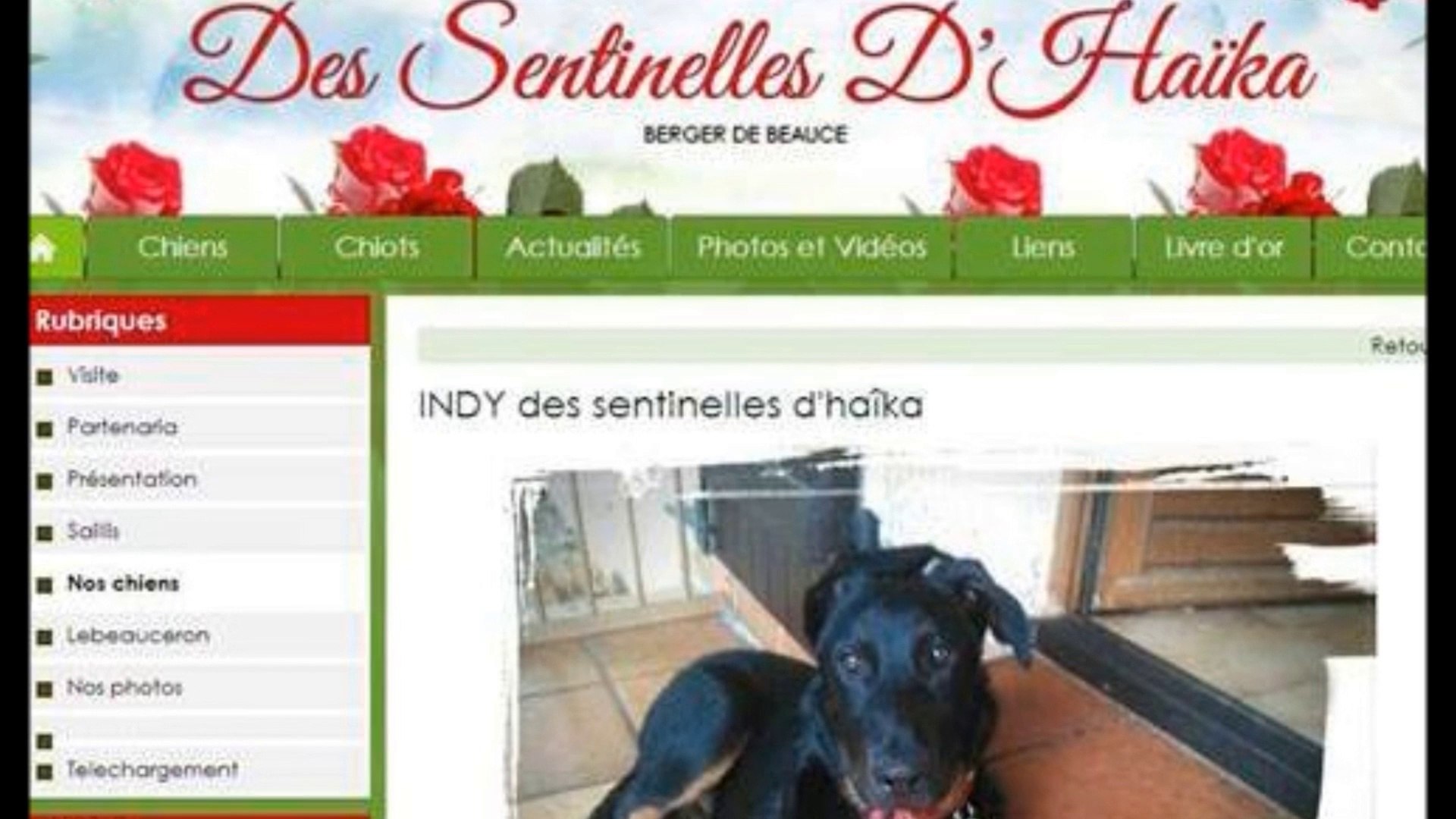 indy une rose parmis les roses