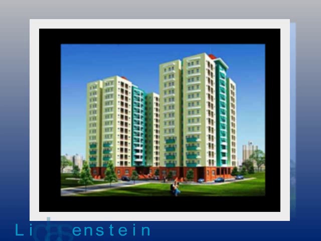 David Lichtenstein's Group on Daily