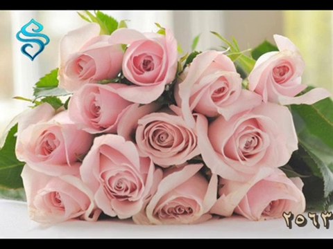 Sana Geleyim / Sami SAMİOĞLU -2563 (Menzil DURAK)