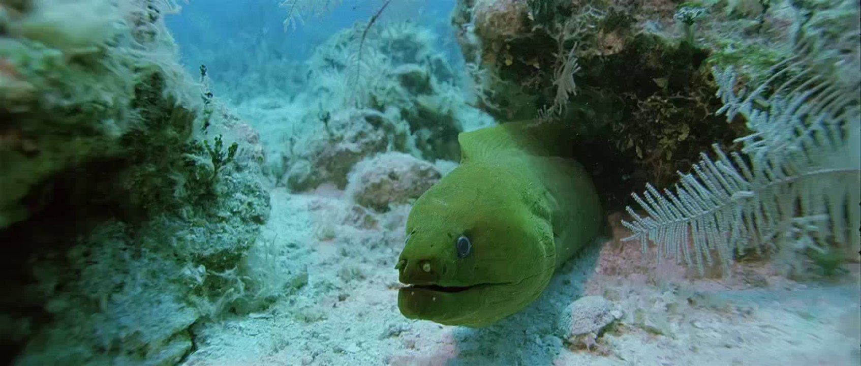 Blue Theme - Blue (2009) -BluRay- - Full Song - Hindi Music Video