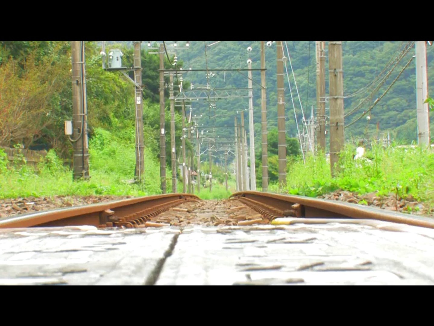 夏草の線路 遊佐未森 動画 Dailymotion