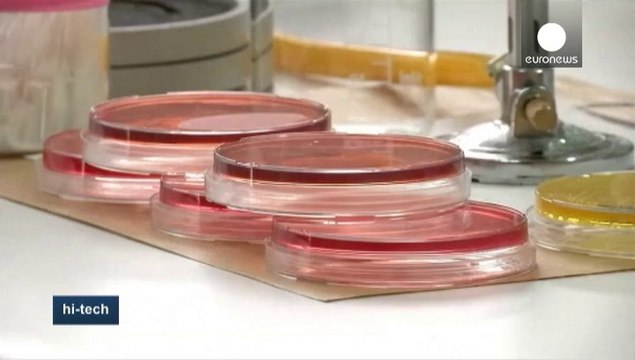 Медь - гроза бактерий