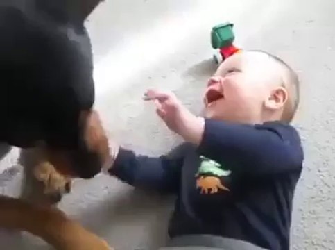 Cute baby vs doggy funny video ... Funny baby laughing hysterically ... Most funny baby video - Video Dailymotion