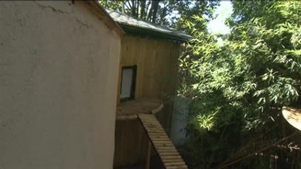 Hayvanat Bahçesinde "Hayvanları Koruma Günü" Etkinliği