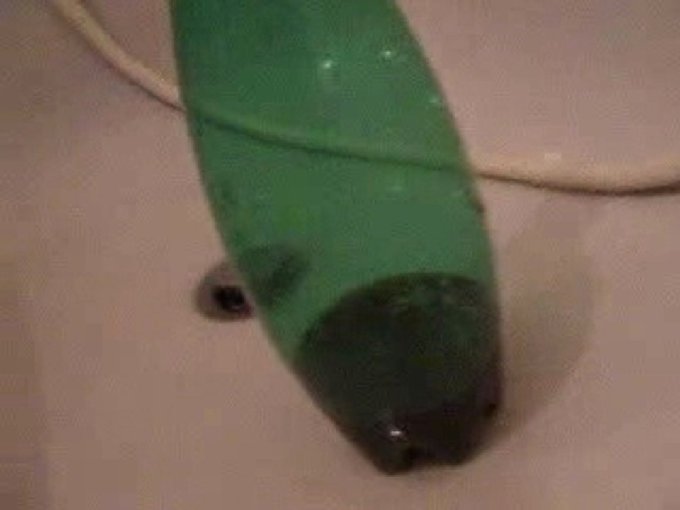 Coca classique et Mentos