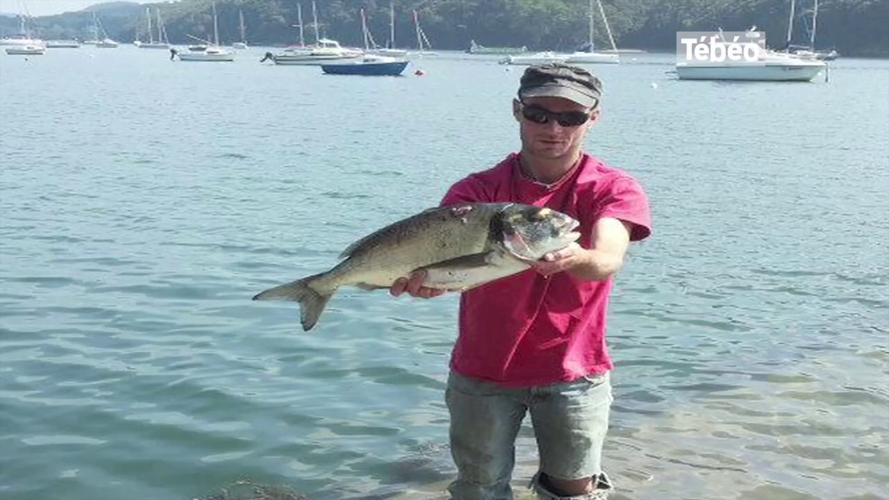 Moules. Les daurades royales attaquent